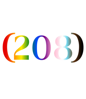 208 Progess Pride Flag