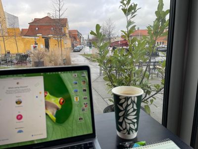 blox working