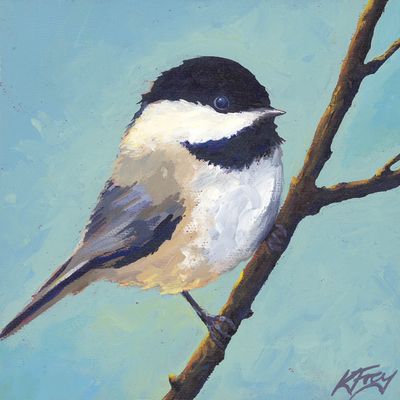 Chickadee3