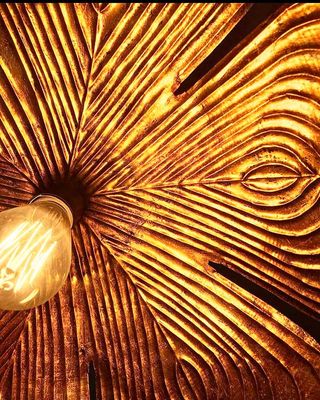 come-home-life-coaching-light