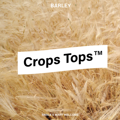 CropsTops_Barley-Fashion