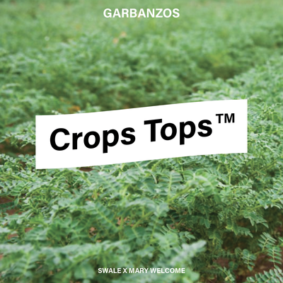 CropsTops_Garbs-Fashion