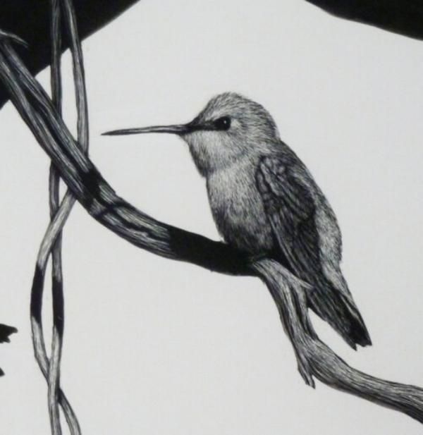diane-versteeg-hummingbird-600x616-1