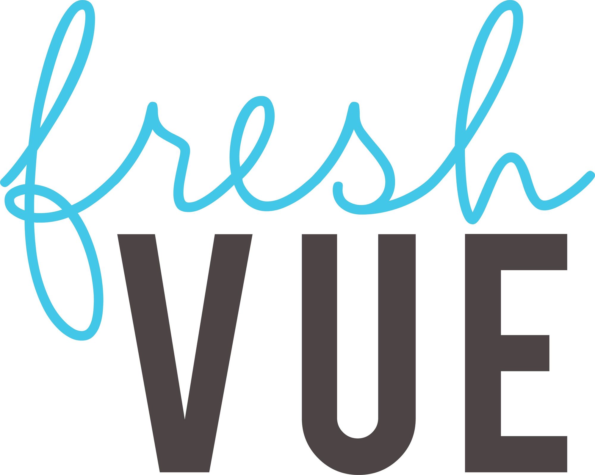 FVLogo
