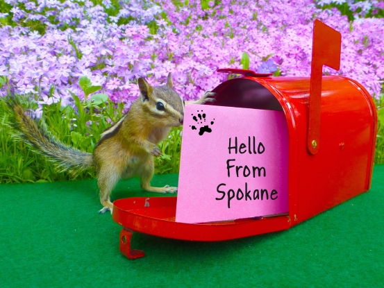 hellofromspokane-1
