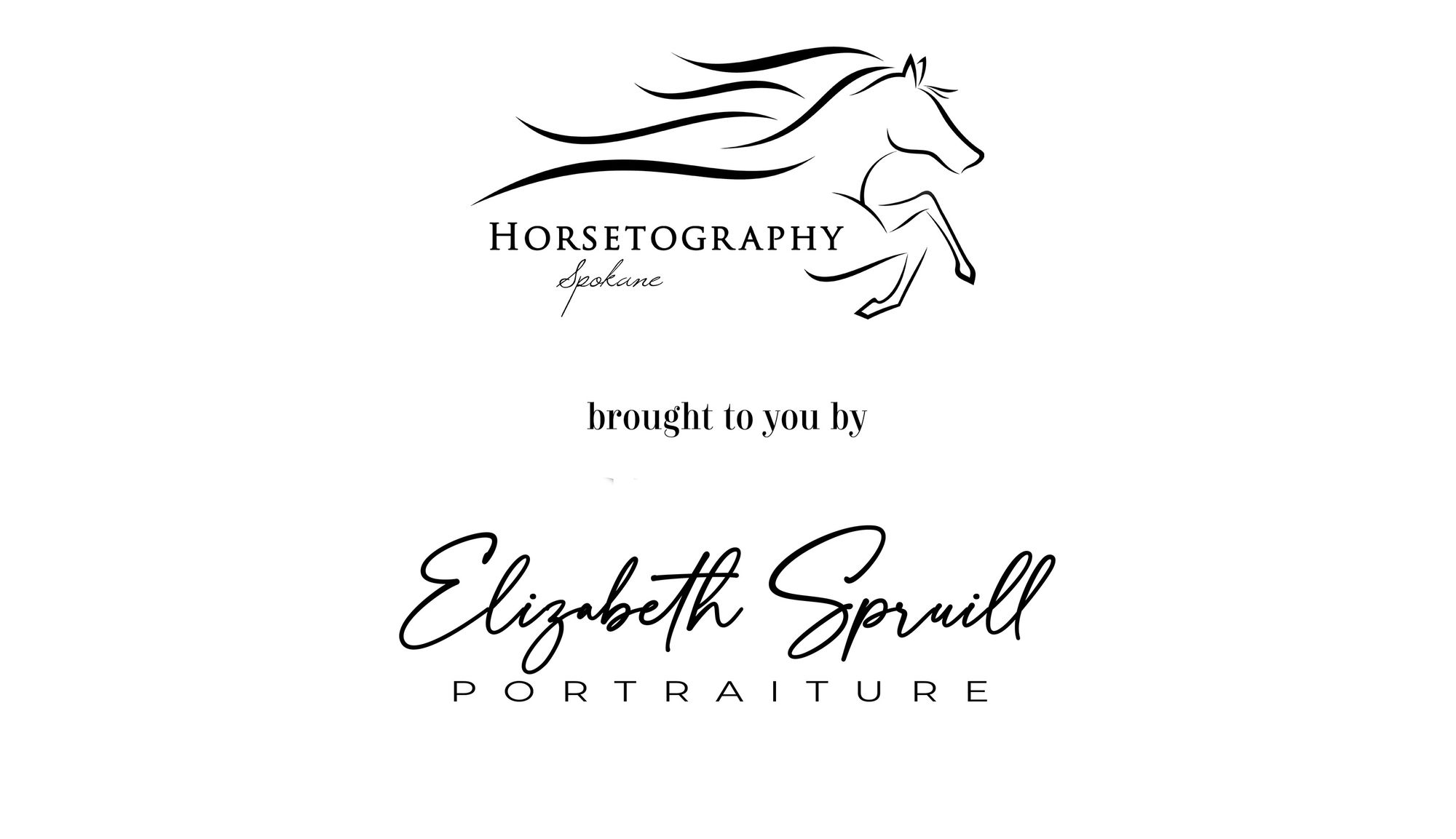 horsetography-portraiture