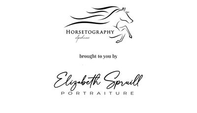 horsetography-portraiture