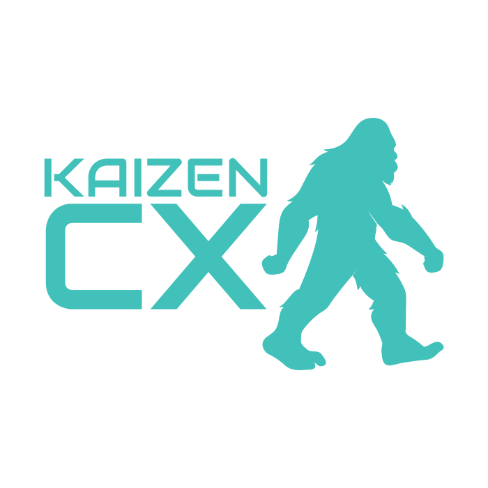 Kaizen-CX_graphic-teal-sasquash copy