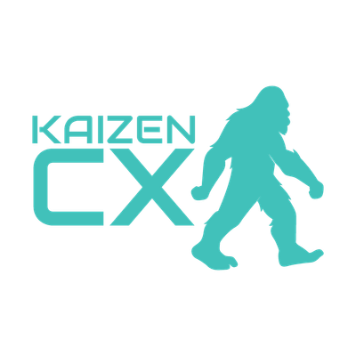 Kaizen-CX_graphic-teal-sasquash copy