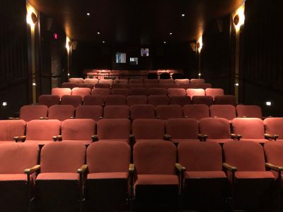 Large-Theater-Seating-View