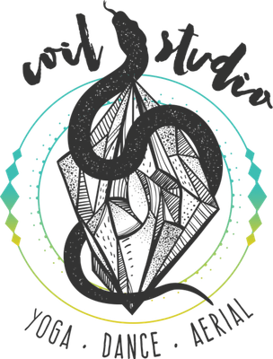 LogoColor1