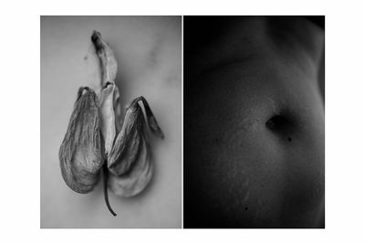 Motherhood-and-Enamel_001