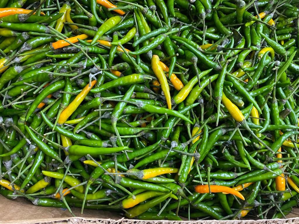 PNW-halal-veggies