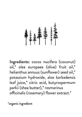 PromiseSoapEvergreenIngredients-04_69b1ad41-9ef6-4994-90b4-2c2f7ac6ccd3