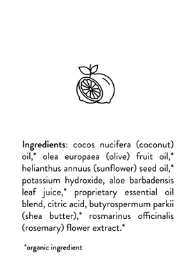 PromiseSoapIngredients-Citrus-1