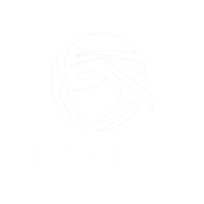 simple-ninja_transparent_1024x1024