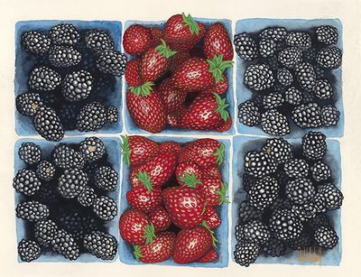 Summer_Berries_LL-INW_600w