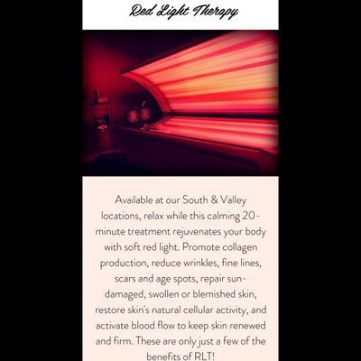 Sunny-Buns-Red-Light