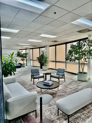 Teck American Open Area