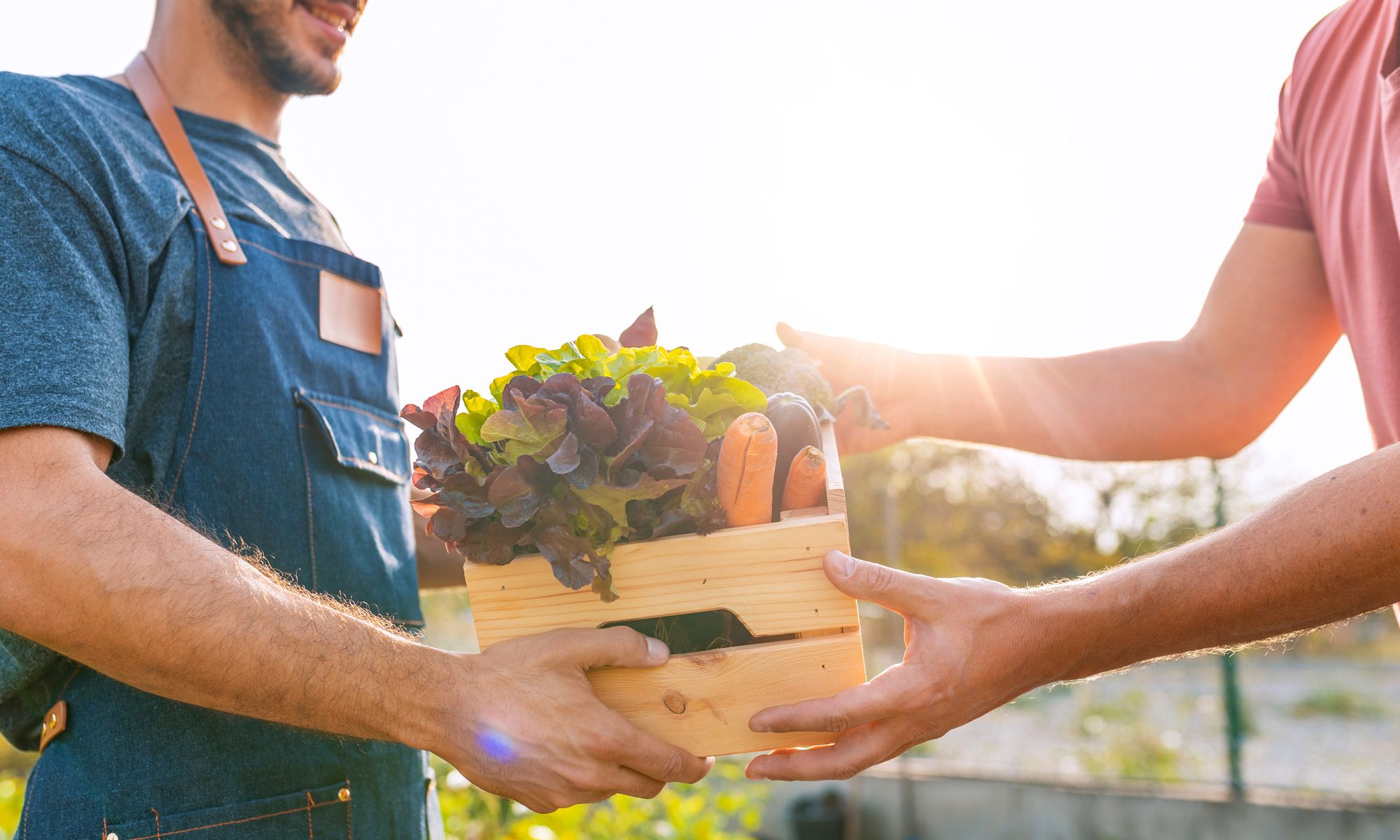 vegetable box