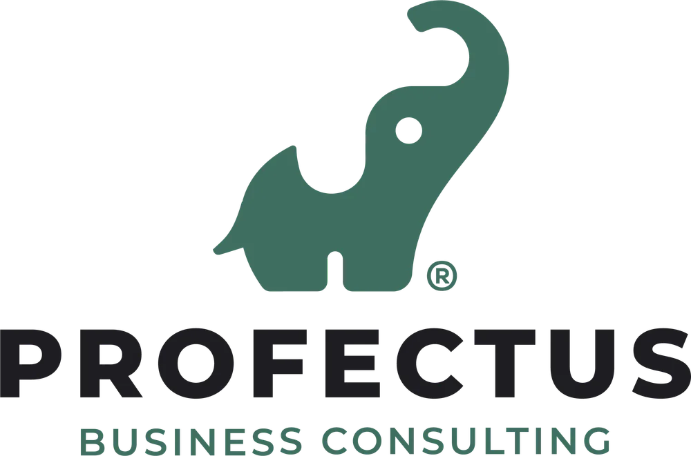 vg-project-742_Profectus_full_logo_rgb_png