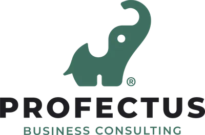 vg-project-742_Profectus_full_logo_rgb_png