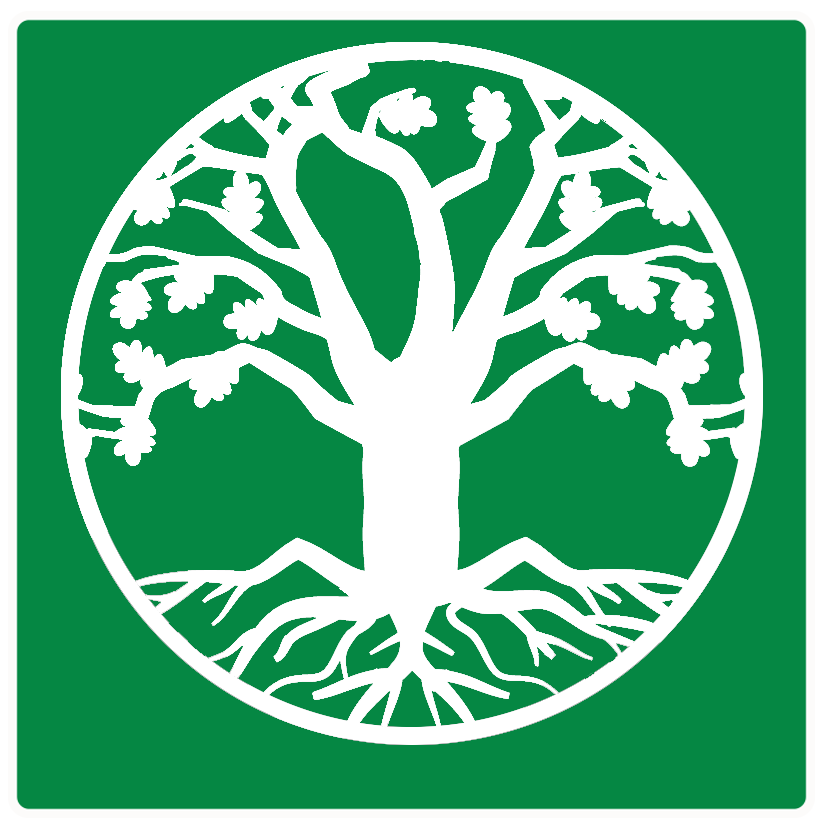 Web icon