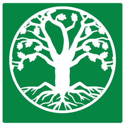 Web icon