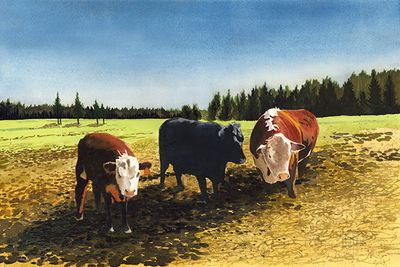 Welcoming-Committee-600w