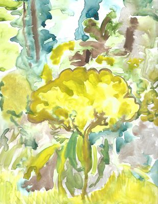 Yellow-flower-